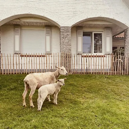Cosy De Journee , Location A L'heure , Discretion Et Confort 3*